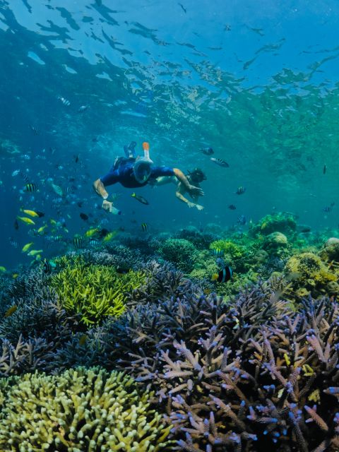 Lombok: Private Snorkeling Gili Nanggu, Gili Sudak, Gili Kedis. - Highlights of Gili Kedis