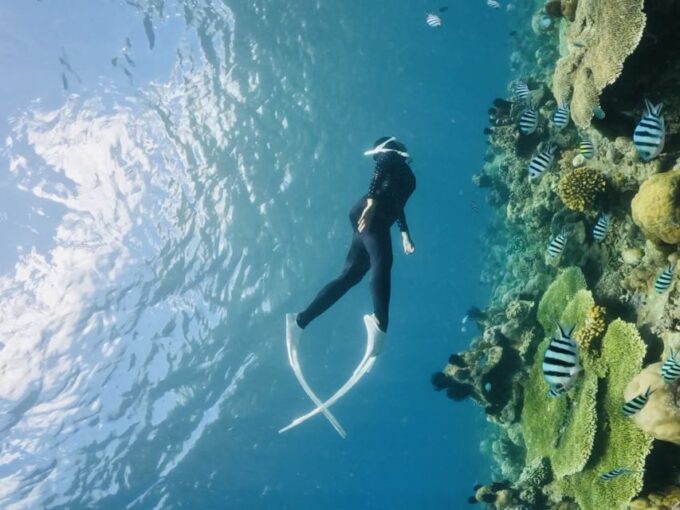 Lombok: Private Snorkeling Gili Nanggu, Gili Sudak, Gili Kedis. - Inclusions and Exclusions