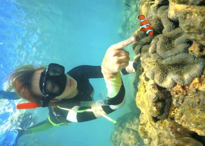 Lombok: Private Snorkeling Gili Nanggu, Gili Sudak, Gili Kedis. - Suitability and Restrictions