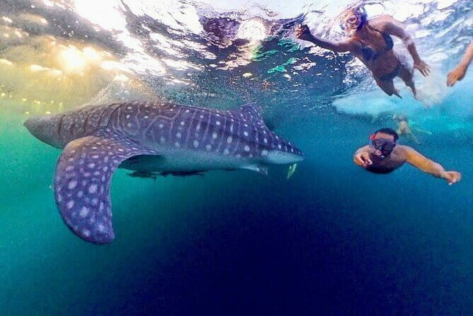 Lombok Private Tour-Car Hire With Full day Customize Trip - Why Choose This Tour?