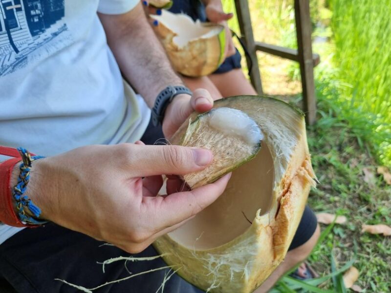 Lombok: Rice Terrace Walking Tour & Benang Kelambu Waterfall - Pickup and Drop-off Information
