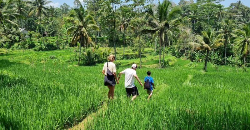 Lombok: Rice Terrace Walking Tour & Benang Kelambu Waterfall - Tour Inclusions and Recommendations
