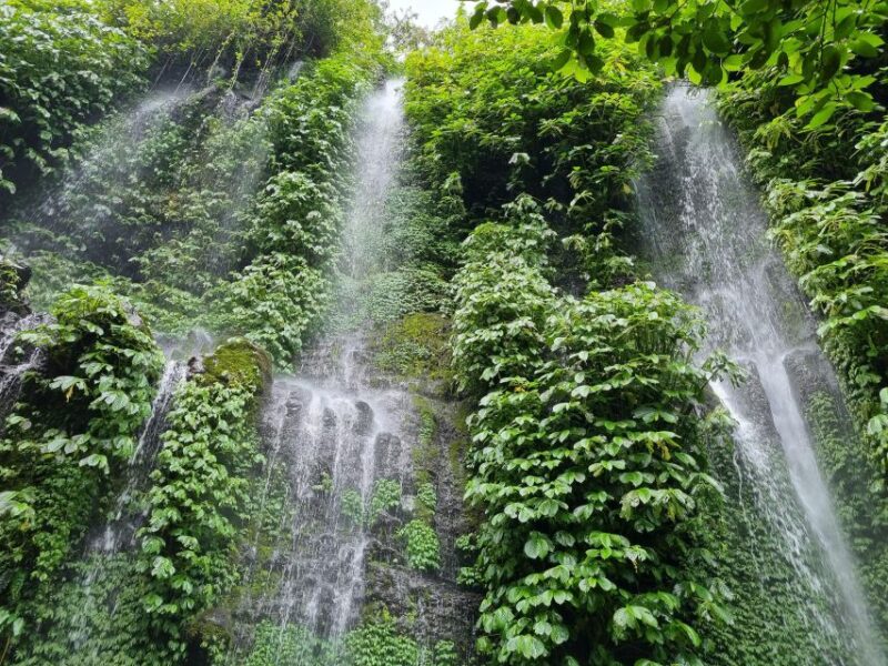 Lombok: Rice Terrace Walking Tour & Benang Kelambu Waterfall - Customer Ratings and Feedback