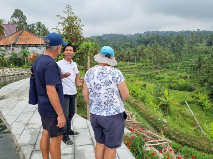 Lombok: Rice Terrace Walking Tour & Benang Kelambu Waterfall - Key Features of the Tour