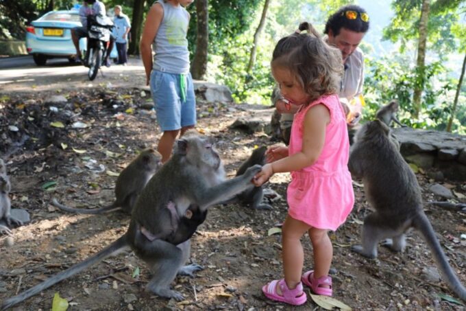 Lombok: Rice Terrace Walking Tour & Benang Kelambu Waterfall - Frequently Asked Questions