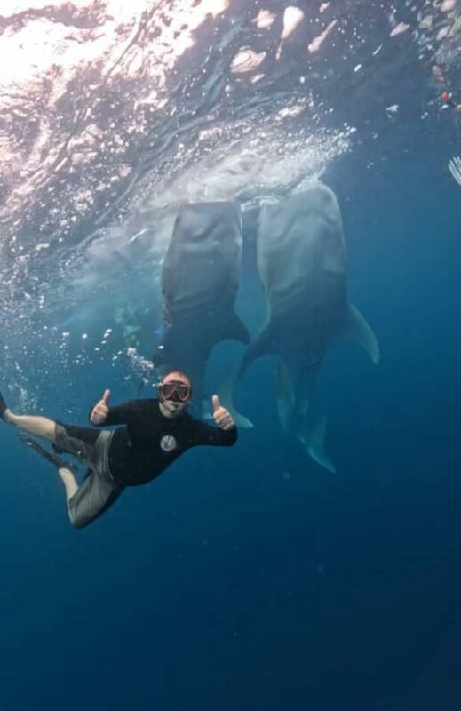 Lombok : Sharing Whale Shark Tour 2 Day 1 Night Sumbawa - The Itinerary in Detail: What to Expect