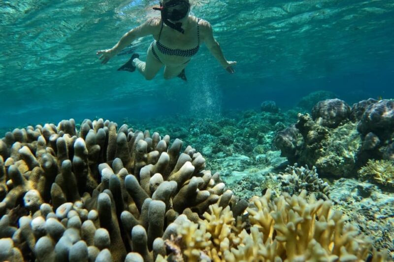 Lombok Shore Excursion Cruiser Ship : 1 Day Tour Gili Island - Important Information and Restrictions