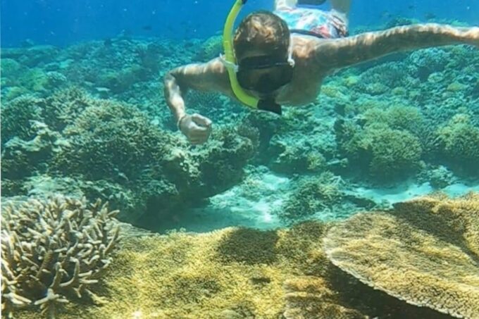 Lombok Shore Excursion Cruiser Ship : 1 Day Tour Gili Island - Guided Tour Experiences