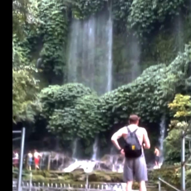Lombok Shore Excursion Cruiser Ship: 1 Day Tour to Waterfall - Tour Inclusions