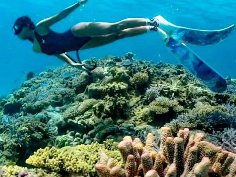 Lombok Shore Excursion Cruiser Ship : Day Tour Secret Gili - Transport and Accessibility
