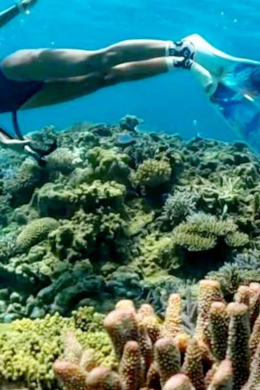 Lombok Shore Excursion Cruiser Ship : Day Tour Secret Gili - Safety and Restrictions
