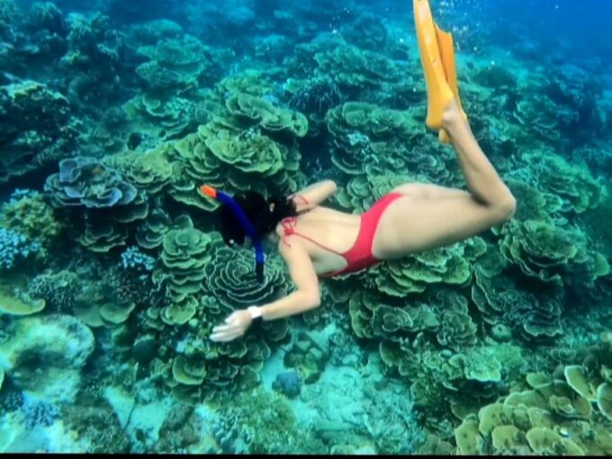 Lombok Shore Excursion Cruiser Ship : Day Tour Secret Gili - Snorkeling and Swimming