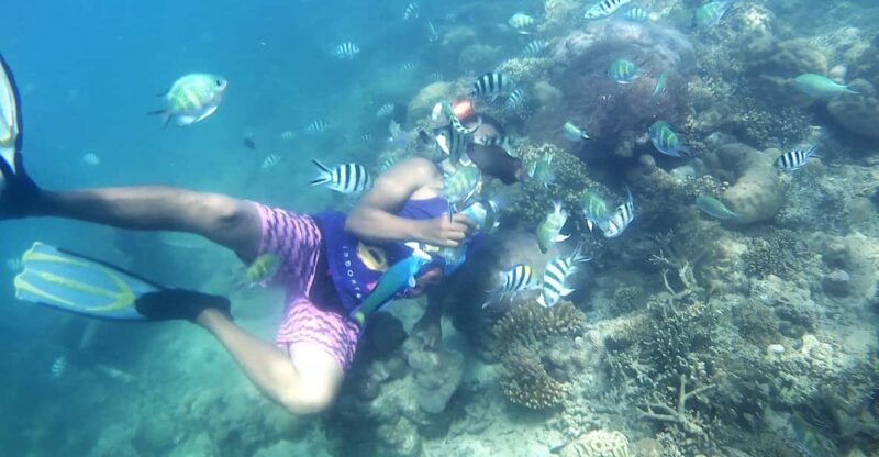 Lombok: Snorkeling Trip Gili Nanggu, Sudak & Kedis - Key Points