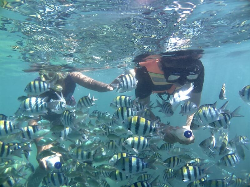 Lombok: Snorkeling Trip Gili Nanggu, Sudak & Kedis - Itinerary Highlights