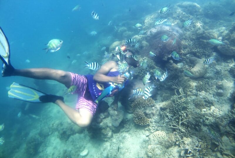 Lombok: Snorkeling Trip Gili Nanggu, Sudak & Kedis - Snorkeling Experiences