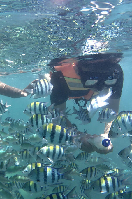 Lombok: Snorkeling Trip Gili Nanggu, Sudak & Kedis - Customer Feedback