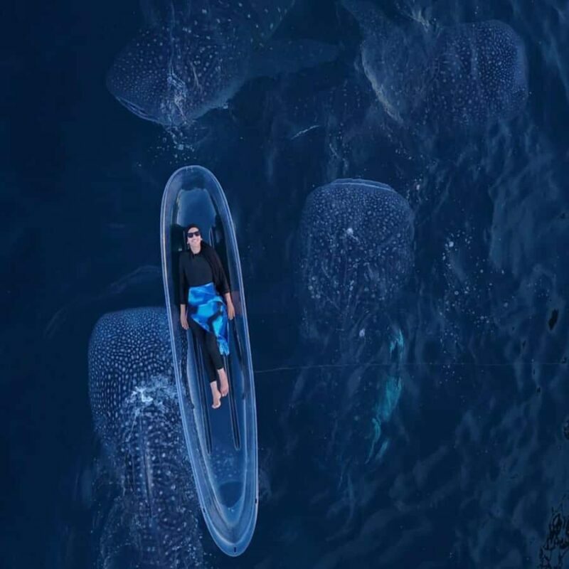 Lombok Sumbawa Sharing 2D1N Whale Shark With Snorkeling - A Complete Look at the Tour Experience