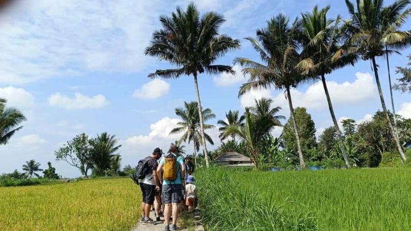Lombok: Tetebatu Village and Rice Fields Guided Tour - What Makes This Tour Special