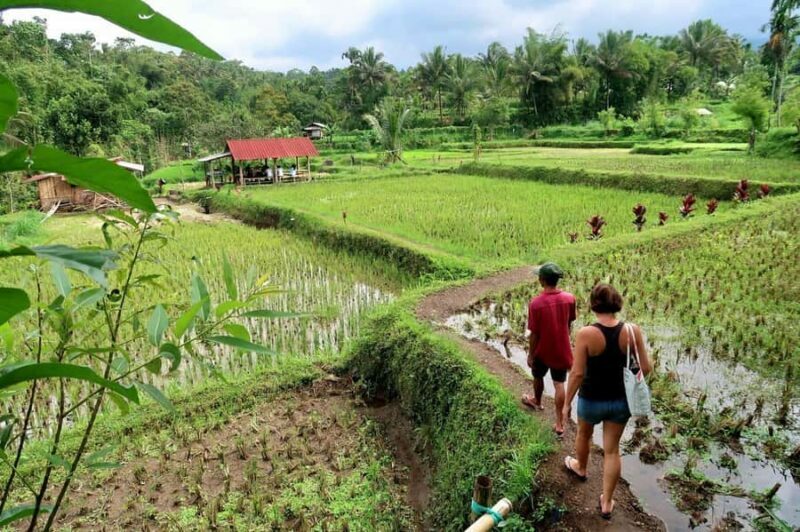 Lombok: Tetebatu Walking Tour with Monkey Forest & Waterfall - Final Thoughts