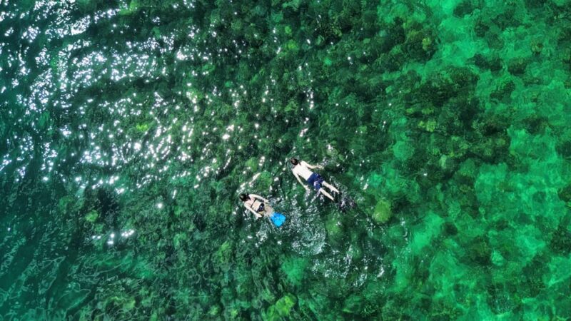 Lombok: the Best Snorkeling in Gili Nanggu, Kedis & Sudak - Coral and Marine Life