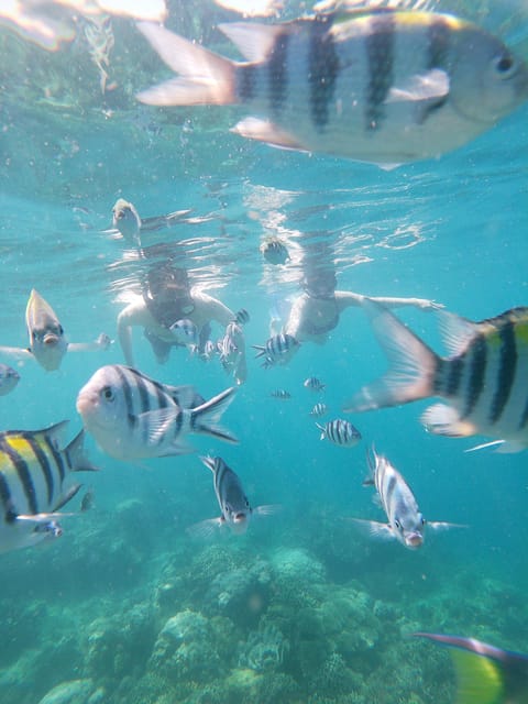 Lombok: the Best Snorkeling in Gili Nanggu, Kedis & Sudak - Highlights and Experiences