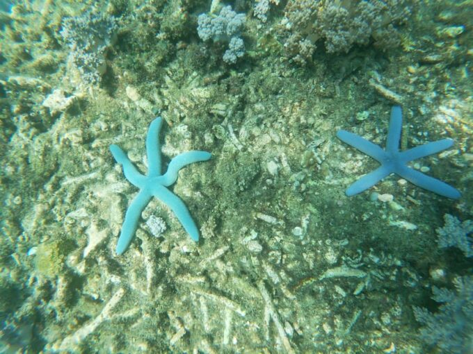 Lombok: the Best Snorkeling in Gili Nanggu, Kedis & Sudak - Frequently Asked Questions