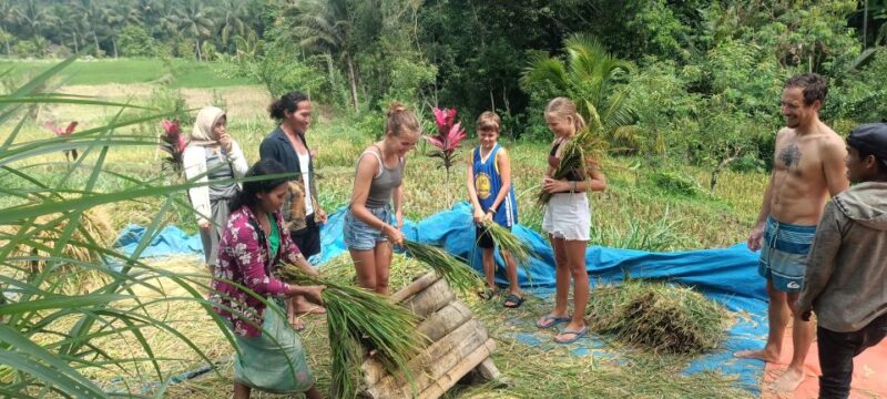 Lombok Tour: Explore Nature and Culture Arround Lombok - Inclusions