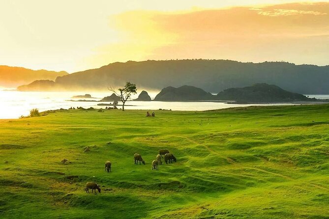 Lombok Tour For Cruise Passangers - Customer Feedback and Ratings