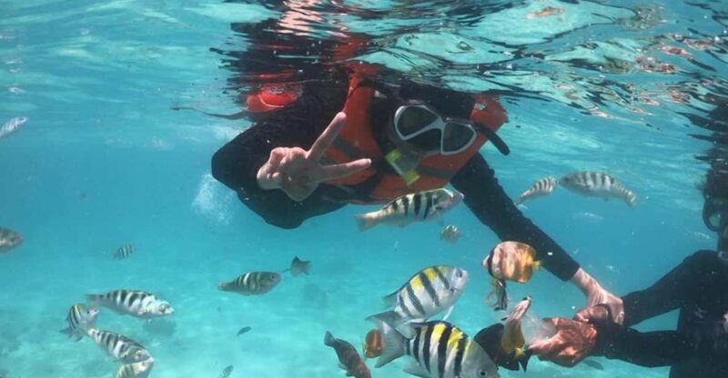 Lombok Tour to Gili Asahan: A Perfect Day in Paradise - Itinerary Highlights