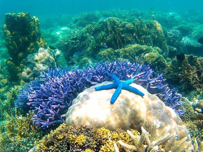 Lombok Tour to Gili Asahan: A Perfect Day in Paradise - Essential Tour Information