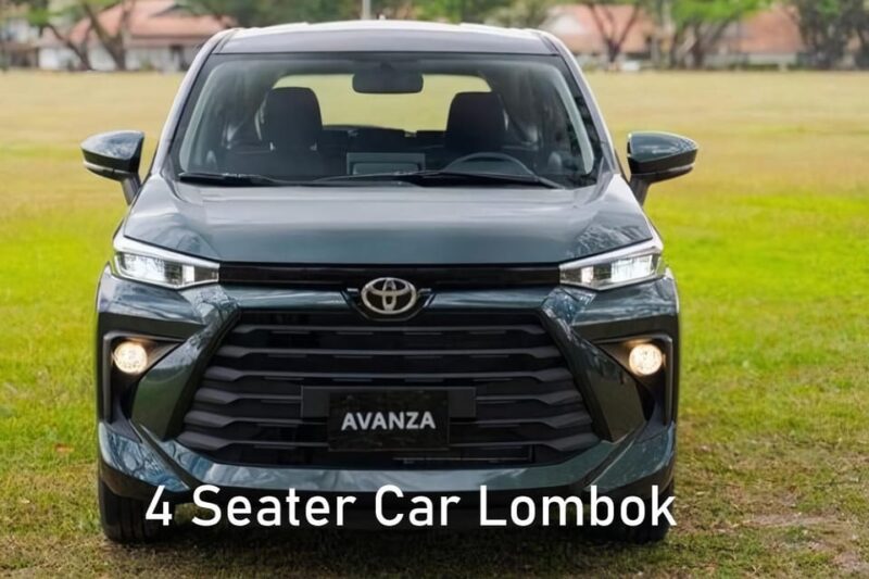 Lombok Tour With Car Rental Include Driver Full Or Half Day - Cultural and Natural Highlights