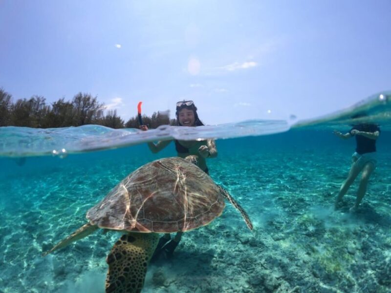 Lombok : Trawangan, Meno & Air Islands Full Day Snorkeling - Key Points