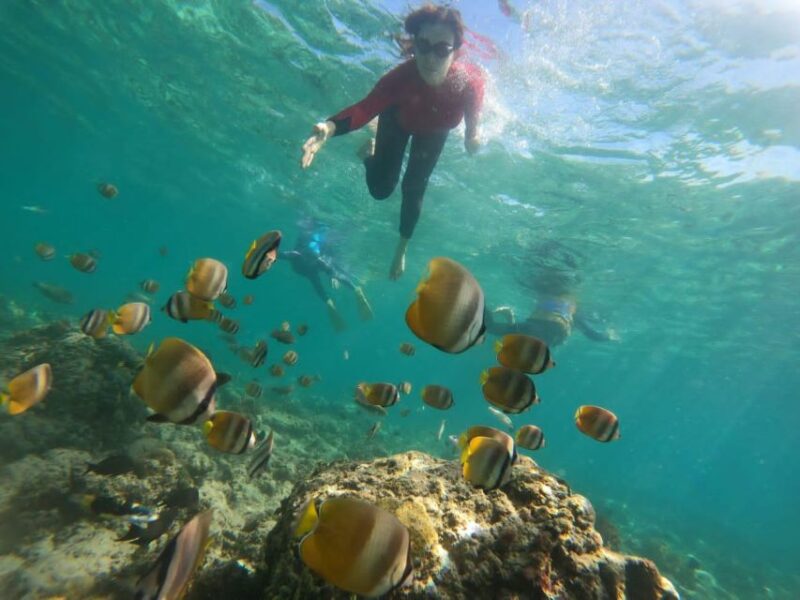 Lombok : Trawangan, Meno & Air Islands Full Day Snorkeling - Itinerary Details