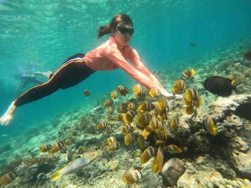 Lombok : Trawangan, Meno & Air Islands Full Day Snorkeling - Inclusions and Exclusions