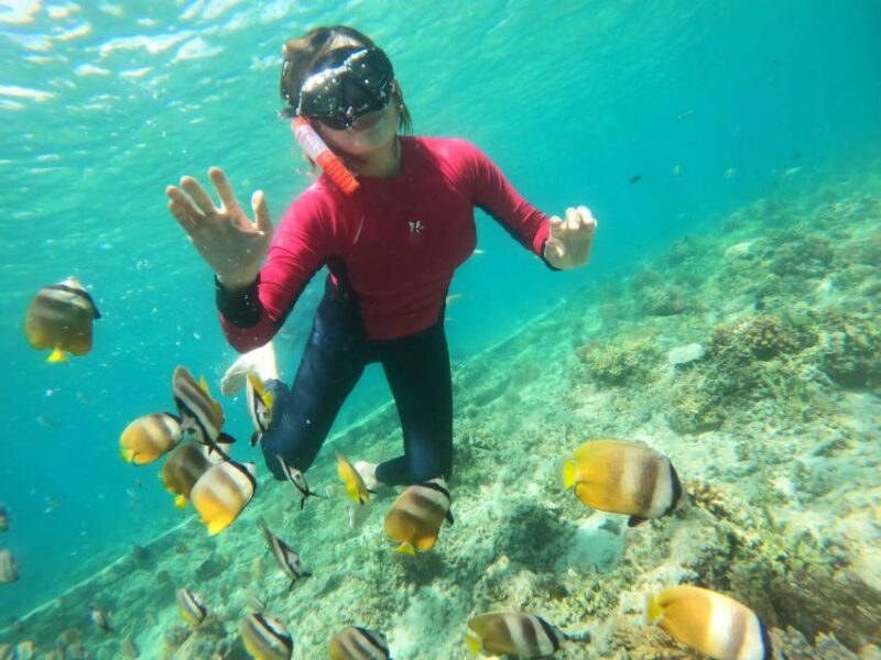 Lombok : Trawangan, Meno & Air Islands Full Day Snorkeling - Customer Feedback
