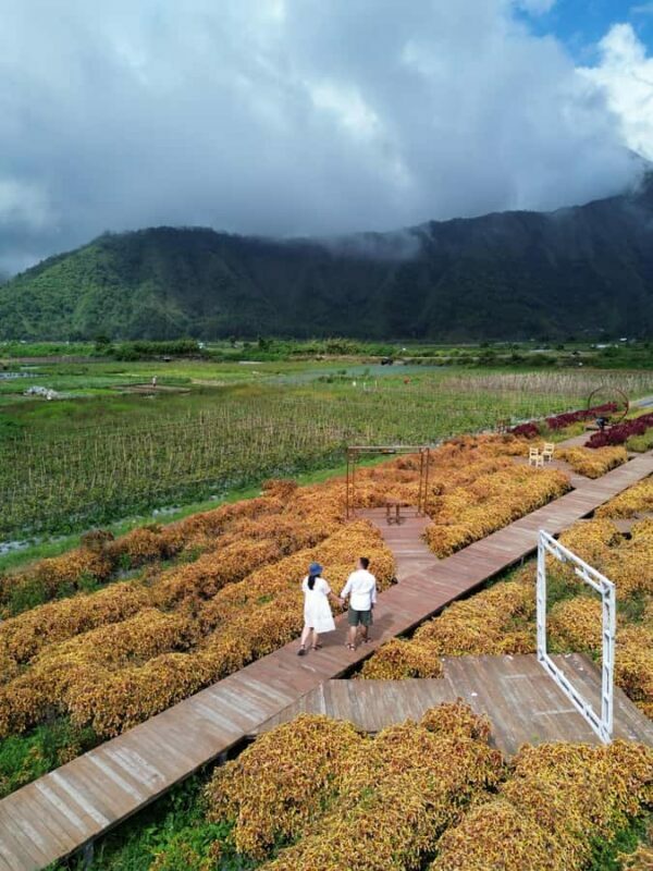 Lombok Waterfalls & Mountain Views Full-Day Tour - Final Thoughts