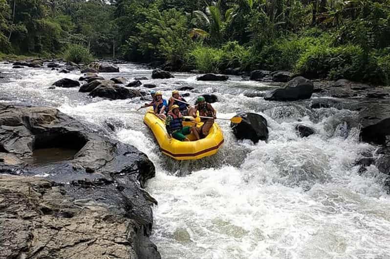 Lombok : White Water Rafting, Ricefield & Waterfall Tour - Key Points