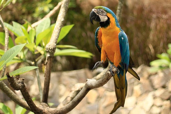 Lombok Wildlife Park Skip the Line Ticket - Discover the Secret Gilis