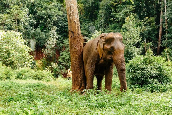 Lombok Wildlife Park Skip the Line Ticket - Cooking Class and Garden Tour