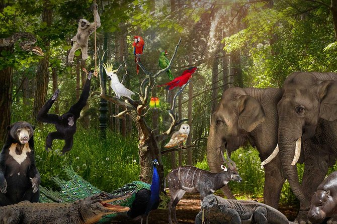Lombok Wildlife Park Skip the Line Ticket - Accessibility and Support