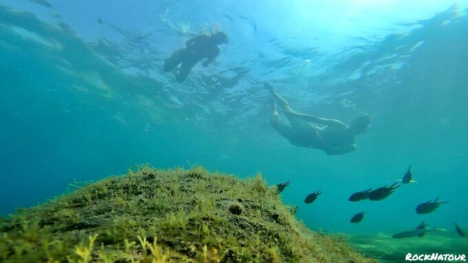 Lomo Quiebre: Mogan Kayaking and Snorkeling Tour in Caves - Fitness Requirements