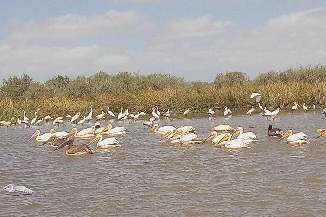 Lompoul Desert With Delta Du Saloum 2 Nights 3 Days Trip. . - Exploring Saloum Delta National Park