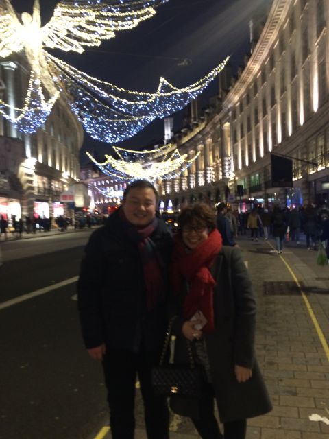 London: Christmas Lights Tour in a Black Cab - Highlights of the Tour