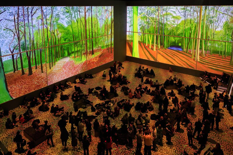 London: David Hockneys Immersive Exhibition Entry Ticket - Ticket Information