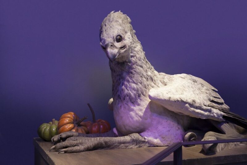 London: Harry Potter Warner Bros. Tour With Hotel Package - Key Points