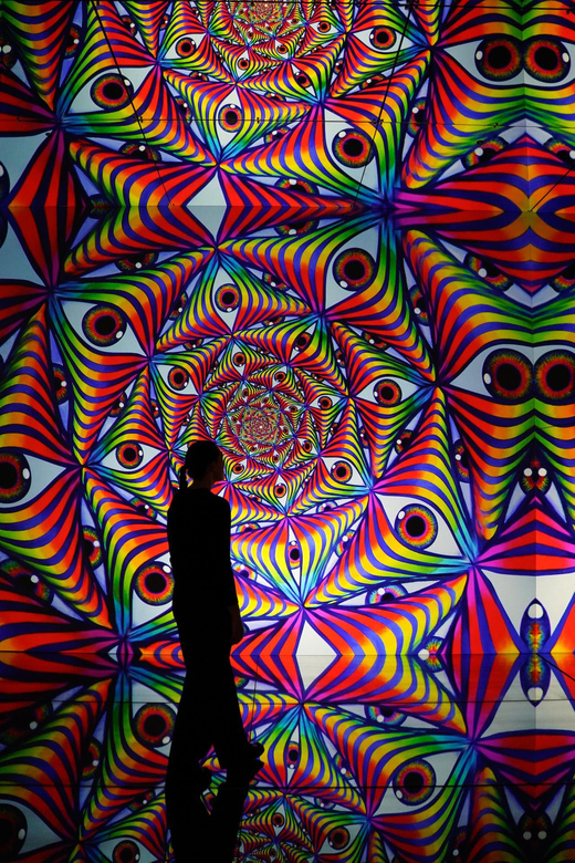 London: Illusionaries Entheon Exhibition Entry Ticket - Customer Feedback