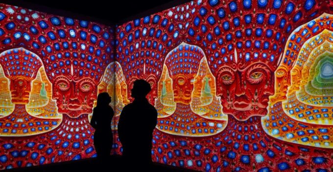 London: Illusionaries Entheon Exhibition Entry Ticket - Tips for Visitors