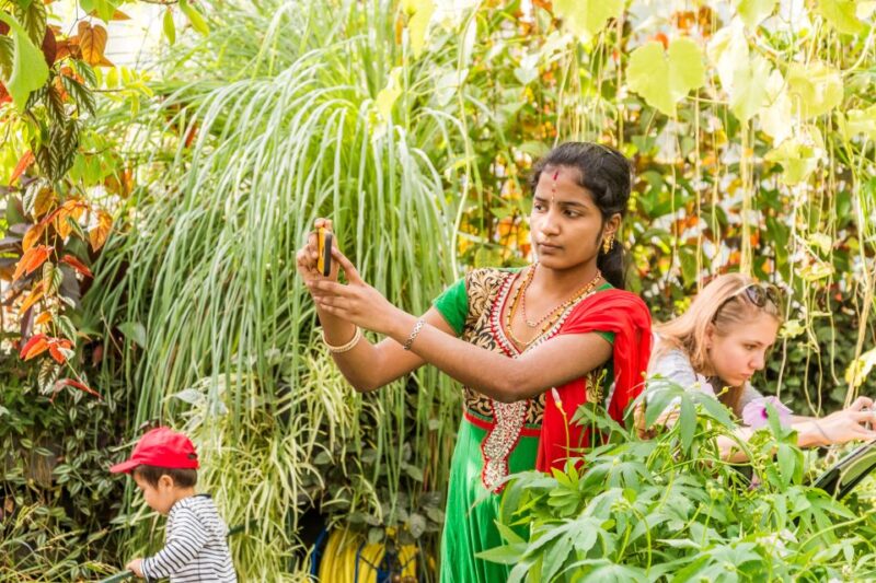 London: Kew Gardens Admission Ticket - Visiting the Waterlily House