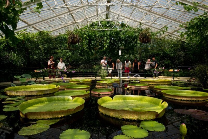 London: Kew Gardens Admission Ticket - Accessing Kew Gardens