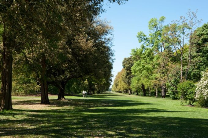 London: Kew Gardens Admission Ticket - Free Walking Tours